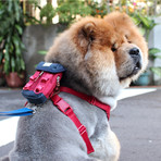 Dog Backpack // Harness + Belt Attachments (Red)