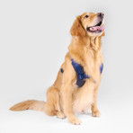 No Pull Dog Harness // Blue (Small)