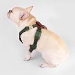 No Pull Dog Harness // Green (Small)