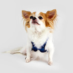 No Pull Dog Harness // Blue (Small)