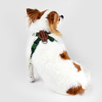 No Pull Dog Harness // Green (Small)