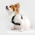 No Pull Dog Harness // Green (Small)