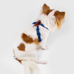 No Pull Dog Harness // Blue (Small)