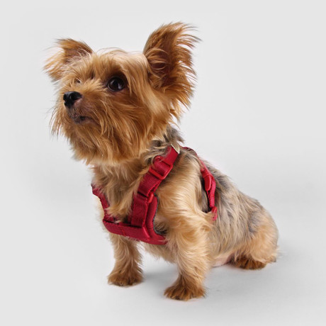 No Pull Dog Harness // Red (Small)