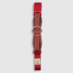 Dog Collar // Red (Small)
