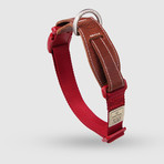 Dog Collar // Red (Small)