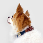Dog Collar // Blue (Small)
