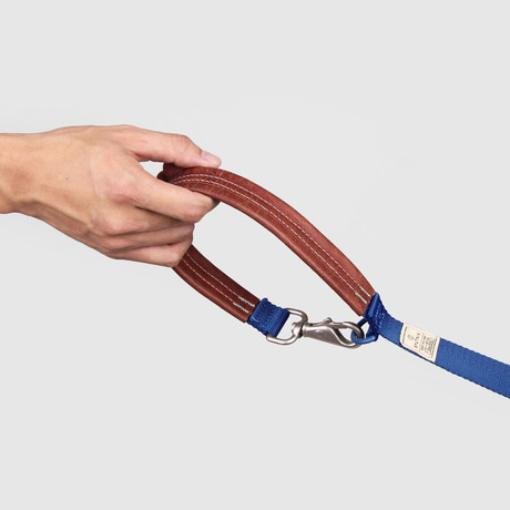 Hands Free Leash with Leather // Blue (Small)