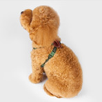 No Pull Dog Harness // Green (Small)