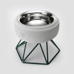 Concrete Modern Dog Bowl // Short Green Base (Light Grey)