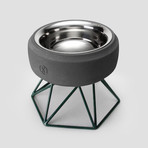 Concrete Modern Dog Bowl // Short Green Base (Light Grey)