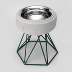 Concrete Modern Dog Bowl // Tall Green Base (Light Grey)