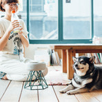 Concrete Modern Dog Bowl // Tall Green Base (Light Grey)