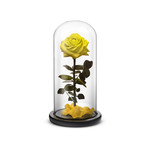 Everlasting Rose // Yellow (Small)