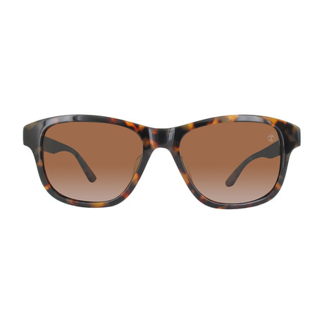 Timberland Sunglasses // TB9089F // Havana Brown // Polarized