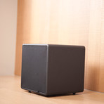X-SUB Compact Powered Subwoofer