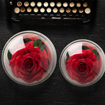 Everlasting Rose // Red (Small)