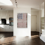 American Flag II // Diego Tirigall (18"W x 26"H x 0.75"D)