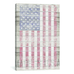 American Flag II // Diego Tirigall (18"W x 26"H x 0.75"D)