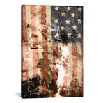 Star Spangled Grafitti (18"W x 26"H x 0.75"D)