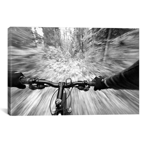 First Person Blurred Motion Mountain Biking View, West Glaci // Chuck Haney (26"W x 18"H x 0.75"D)
