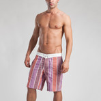 Big Stripes Swimming Shorts // Stripes (XL)