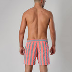 14021 Striped Swimming Shorts // Gray (XL)