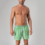 14023 Striped Swimming Shorts // Gray (L)