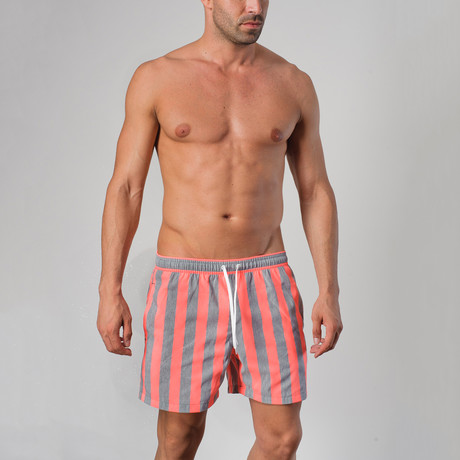 14021 Striped Swimming Shorts // Gray (S)