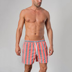 14021 Striped Swimming Shorts // Gray (XL)