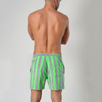14023 Striped Swimming Shorts // Gray (L)