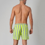 14024 Striped Swimming Shorts // Gray (S)