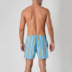 14041 Striped Swimming Shorts // Blue (2XL)