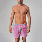 14022 Striped Swimming Shorts // Gray (L)