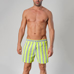 14024 Striped Swimming Shorts // Gray (S)