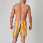 14042 Striped Swimming Shorts // Yellow (S)