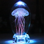 Crystal Sphere // Jellyfish (Wood Base)