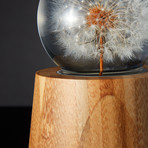 Crystal Sphere // Dandelion Specimen (Full)