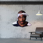Tupac Head (2' Wide)