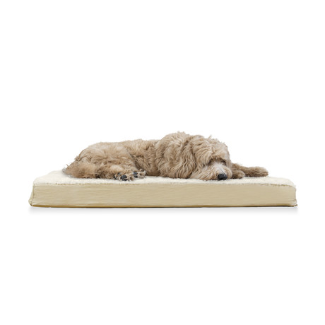 Ultra Plush Cooling Gel Top Dog Bed // Cream (Small)