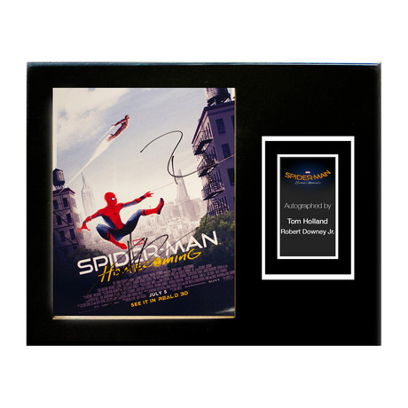 Framed Autographed Artist Series // The Amazing Spiderman // Artist Series II