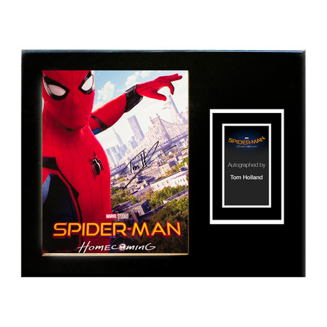 Framed Autographed Artist Series // The Amazing Spiderman // Artist Series I