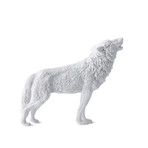 Wolf // White