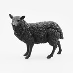 Sheep // Black