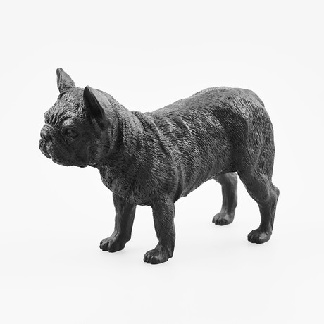 French Bulldog // Black