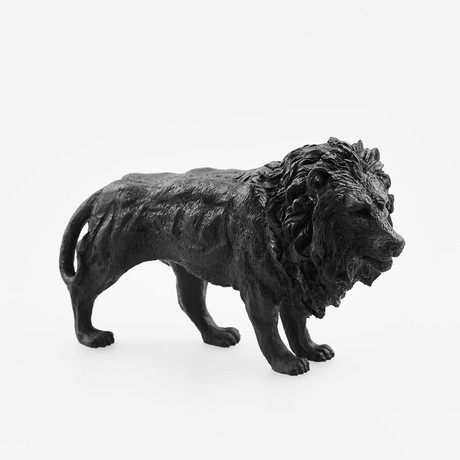 Lion // Black