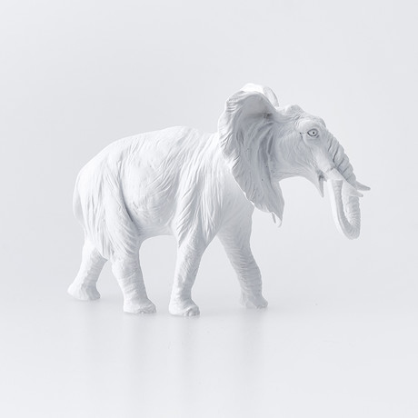 Elephant // White