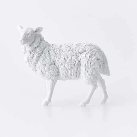 Sheep // White