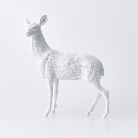 Deer // White