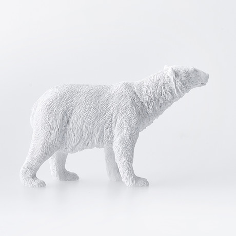 Polar Bear // White